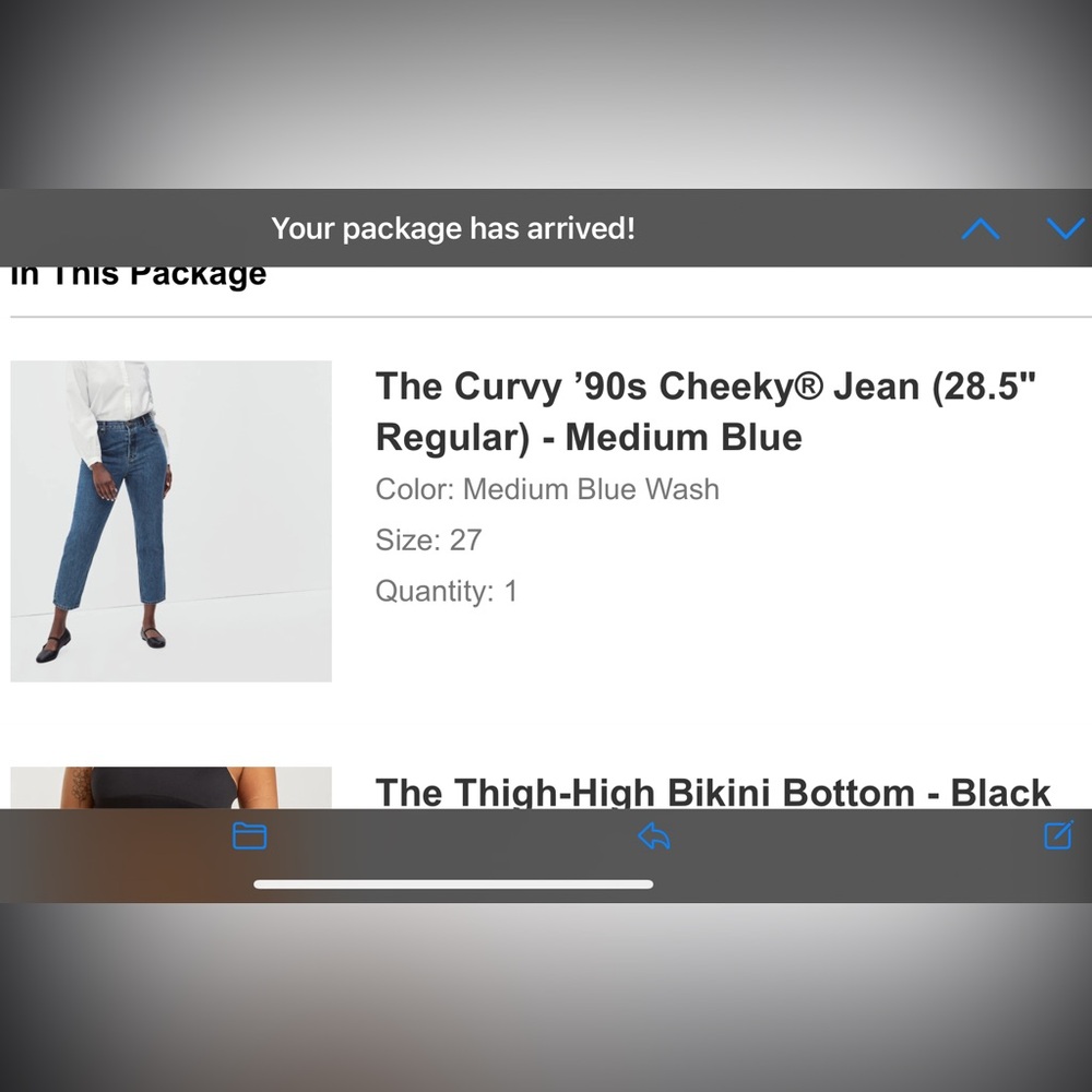 Everlane Curvy '90s Cheeky Jean - Medium Blue